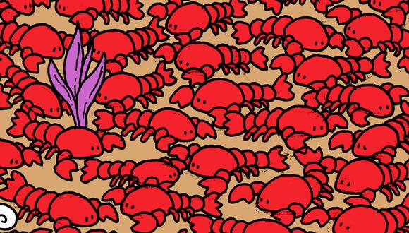 ¿Podrás encontrar a los cangrejos escondidos en tan solo 10 segundos? Ponte a prueba