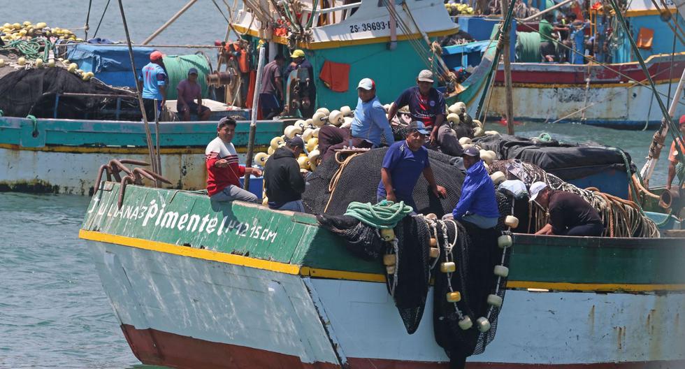 Gremio de pescadores exhorta a Produce atender difícil situación de armadores y pescadores