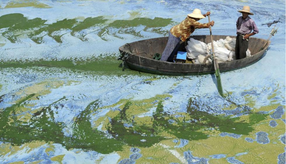 Una embarcación lucha por movilizarse sobre el lago de Chaohu, en Anhui. Para DrinkingWater.Org, la mitad del agua de China está contaminada. (Jianan Yu)