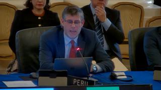 Perú ante la OEA: el objetivo es permitir una transición democrática y ordenada