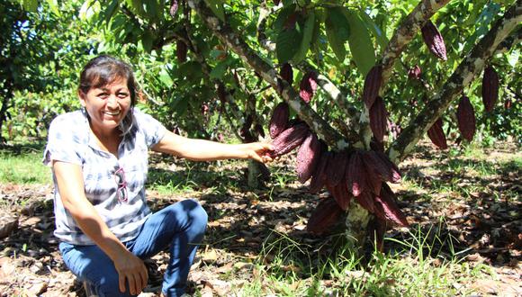 Un total de 130 mujeres, pertenecientes a la Cooperativa Qori Warmi, del centro poblado de Puerto Mayo, distrito de Pichari en La Convención, Cusco, se convirtieron en empresarias exitosas con la producción de cacao.