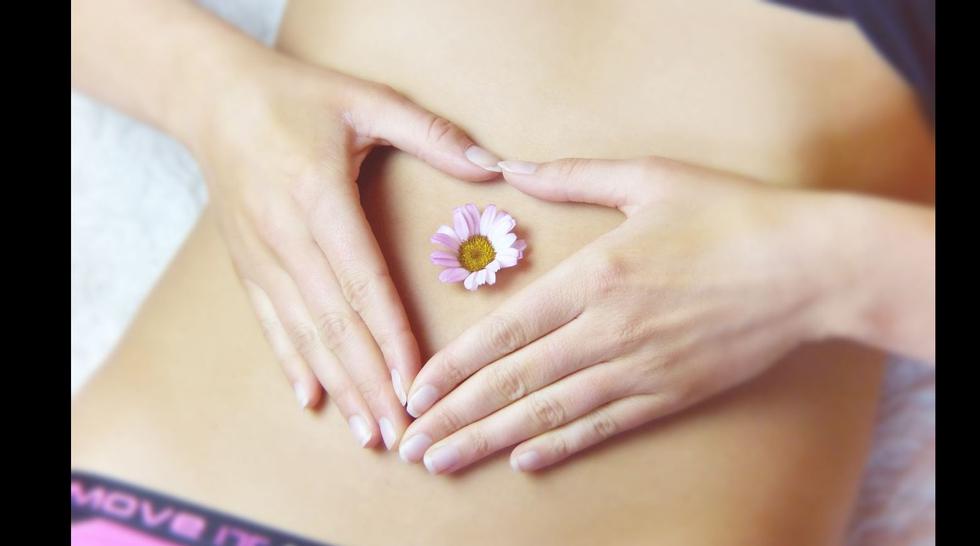 El tratamiento más eficaz para mujeres con endometriosis que desean gestar es la Fertilización In Vitro (FIV). (Pixabay)