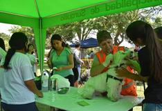 Surquillo reapertura veterinaria municipal con mega campaña gratuita este sábado | FOTOS
