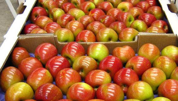 Tema de las manzanas chilenas está muy avanzado, según ministro de Agricultura peruano. (Internet)