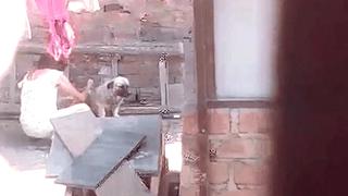 Mujer es captada golpeando a un perro en su azotea de Lince y recibe el repudio de sus vecinos