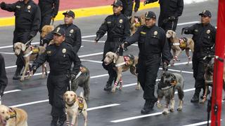 Parada Militar: Policía Canina se llevó los aplausos del público con esta presentación [Fotos y video]