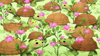 Reto visual: tienes 20 segundos para encontrar el caracolito entre todas las tortugas