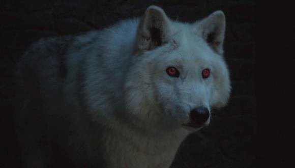 Esto fue lo que le pasó a Ghost, el lobo huargo de Jon Snow en la 'Batalla de Winterfell'. | HBO