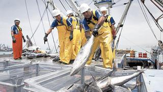 Extranjeros interesados en oferta pesquera nacional