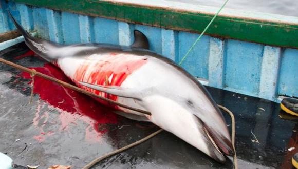 Hace poco denunciaron matanza de 15,000 delfines al año. (ONG Mundo Azul)