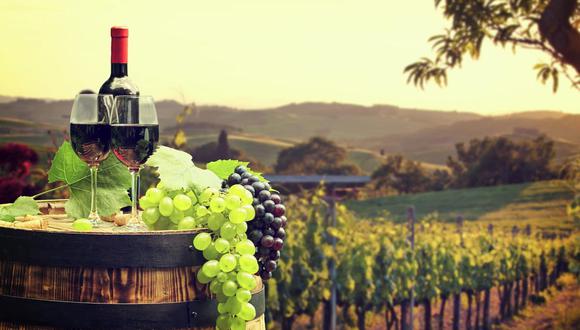 Enoturismo: Conoce 3 países espectaculares para los amantes del vino