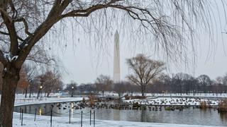 Nueva York: Tormenta de nieve fue "menos destructora" de lo previsto [Fotos]
