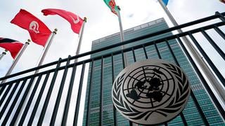 ONU preocupada por suspensión de implementación del enfoque de igualdad de género en Currículo Nacional