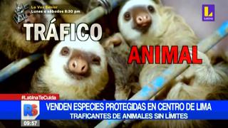 Centro de Lima: Traficantes venden especies protegidas por unos billetes