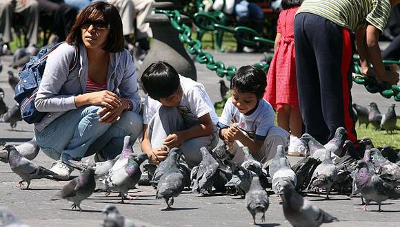 Barranco: Municipalidad multará con más de S/.700 a personas que alimenten a palomas. (USI)
