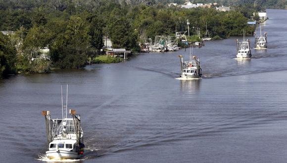 La bacteria tóxica que viene contaminando las aguas del río Mississippi. (AP)