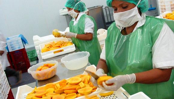 Las exportaciones de mango peruano alcanzaron los US$ 271 millones entre enero y noviembre del 2020. (Foto: Archivo GEC)