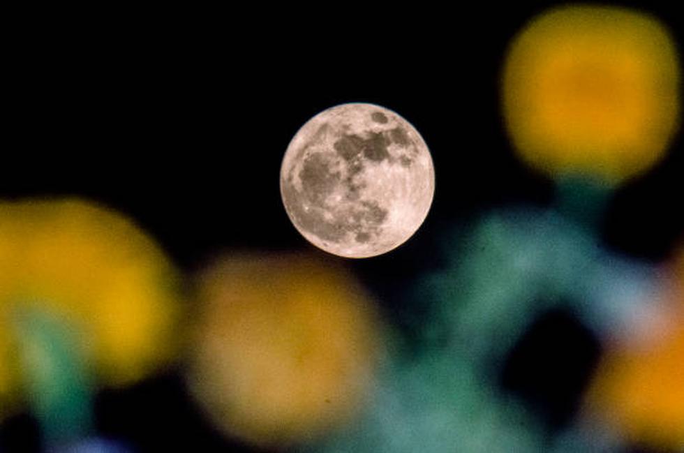 Una superluna se levanta en las primeras horas del 3 de diciembre de 2017 en Srinagar, la India. (Gettyimages)
