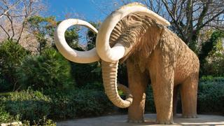 ¿Vale la pena clonar a un mamut?