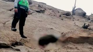 Huacho: Delincuente muere al caer de un cerro después de robarle a 6 personas