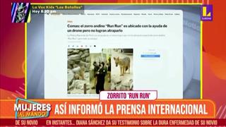 Así informaron los medios internaciones sobre la historia del zorrito ‘Run Run’