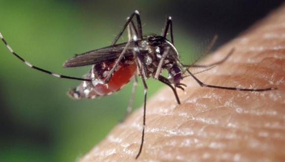 El primer caso de zika llegó al Perú. (USI)