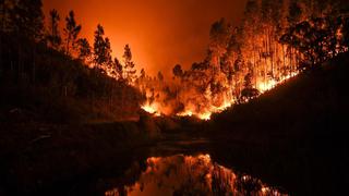 Suben a 62 los muertos en incendio en el centro de Portugal [Fotos]