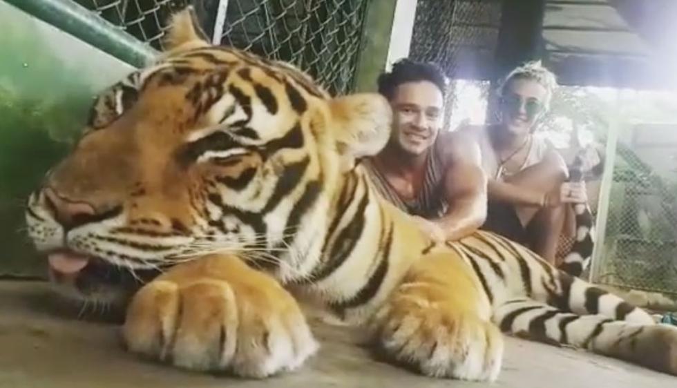 Paula y su novio, André Castañeda, junto al tigre. (Captura de pantalla)