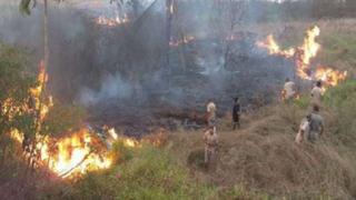 Incendio forestal afectó dos hectáreas de cobertura natural en Madre de Dios