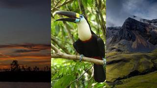 Gobierno establece tres nuevas áreas de conservación regional en Huánuco, Ucayali y Cusco