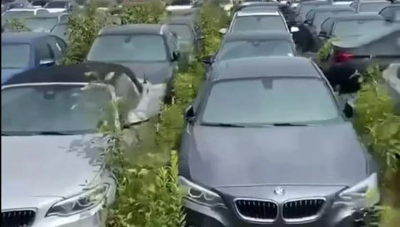 Más de 3.000 autos BMW completamente nuevos están abandonados y oxidándose al aire libre en Vancouver. (Foto: captura YouTube)