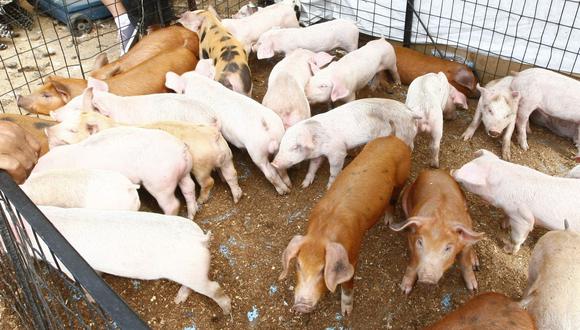 China es uno de los mayores consumidores de cerdo. (Foto: GEC)