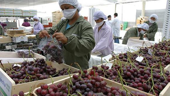 AGAP pide liberación de vías, pues hay una seria afectación a productos, especialmente a uvas y arándanos. Los productores de Arequipa, Ica y La Libertad están en crisis por los bloqueos de carreteras.