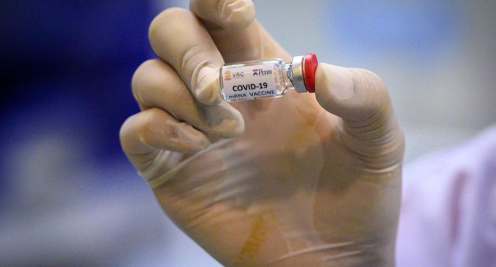Imagen referencial. Coronavirus | La fase de estudio en humanos comenzó en abril con la participación de unos 1.000 voluntarios sanos. (Mladen ANTONOV / AFP).
