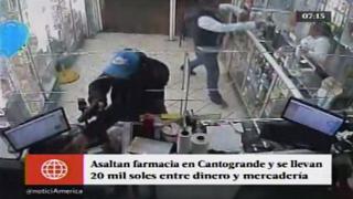 San Juan de Lurigancho: Asaltan botica en Canto Grande y se llevan S/20 mil [Video]