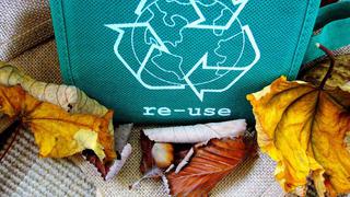 Día del Reciclaje: 4 acciones sencillas que pueden aplicar las empresas para cuidar el planeta