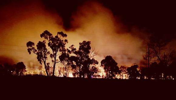 Las elevadas temperaturas han provocado 138 incendios, según los últimos datos, que arden sin control desde hace varios días en Queensland. (Foto: EFE)