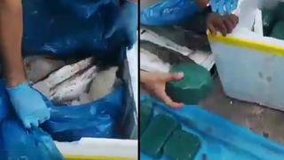 Huánuco: Policía incauta más de 67 kilos de cocaína que iba escondida en cajas de tecnopor con pescado [VIDEO]