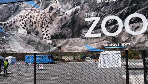 El zoológico del Bronx permanece cerrado desde principios de marzo. (SPENCER PLATT / AFP)