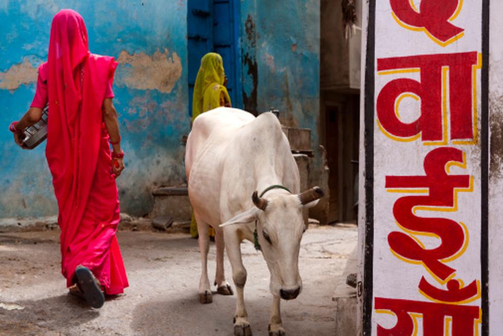 Linchan a musulmán en el oeste de la India por alimentar vacas. (Referencial/Perú21)