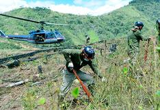 Mininter erradica 3,456 hectáreas de cultivos ilegales de hoja de coca en Huánuco y Ucayali