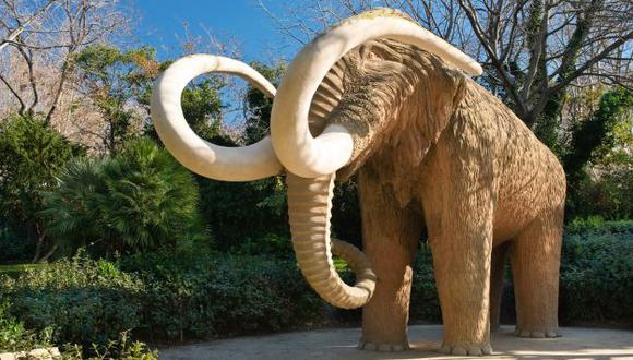 Científico dice que mamuts serán necesarios. (USI)