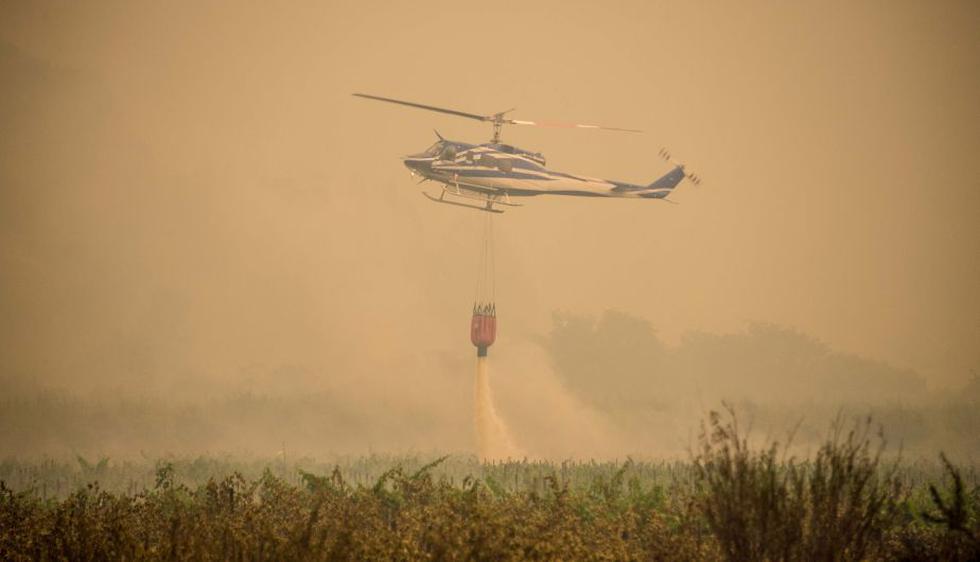 Incendios forestales acorralan zona central de Chile. (AFP)
