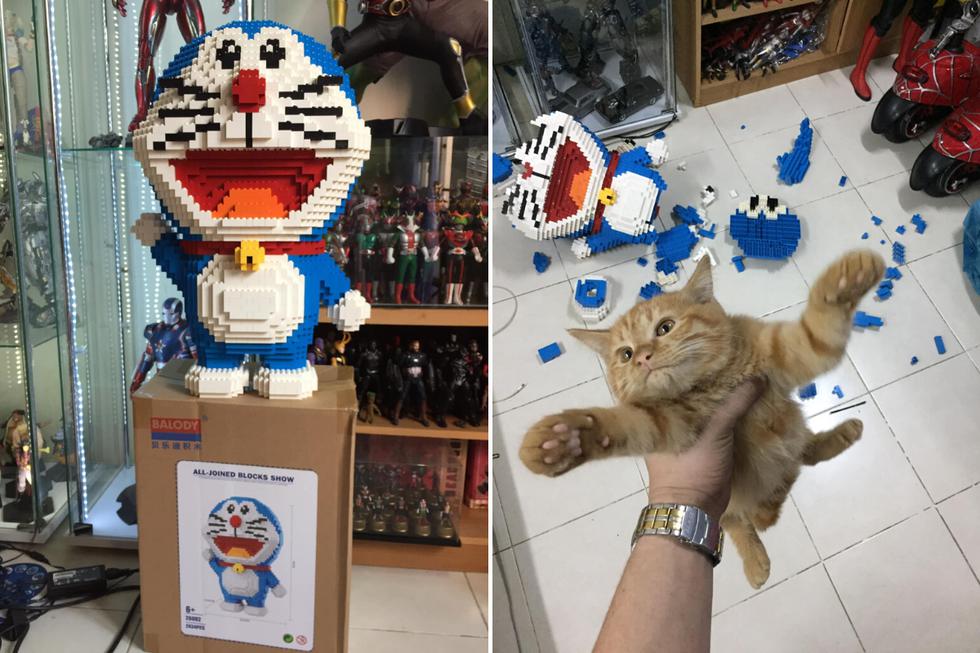 El propietario de la mascota retrató toda la secuencia de la travesura del felino. (Foto: ภูมิมัย พรทอง en Facebook)