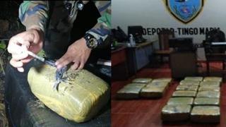 Policía encuentra más de 104 kilos de marihuana abandonados entre vegetación en Huánuco