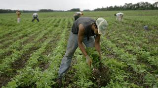 Fabiola Muñoz afirma que la Ley de Promoción Agraria “es una norma que el país necesita”