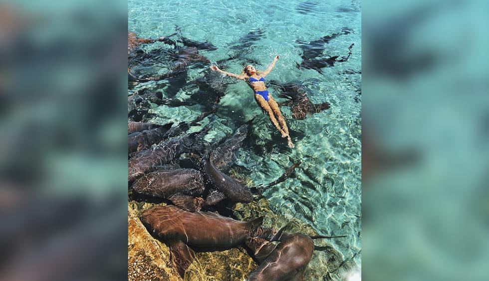 Quiso tomarse una arriesgada foto junto a tiburones y uno de estos la atacó. Ocurrió en Bahamas. (Foto: Instagram|@katarinazarutskie)