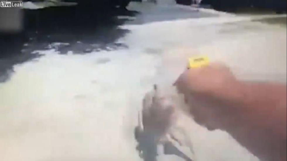 El video de un policía disparando un arma eléctrica contra un perro se volvió viral en YouTube. Ahora, el agente y el propietario del can se verán las caras ante el juez. (Captura)