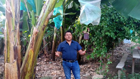 José Correa, agricultor piurano de banano orgánico.