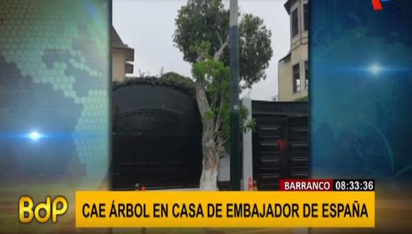 Árbol cayó sobre fachada de la residencia del embajador de España. (Captura: BDP)
